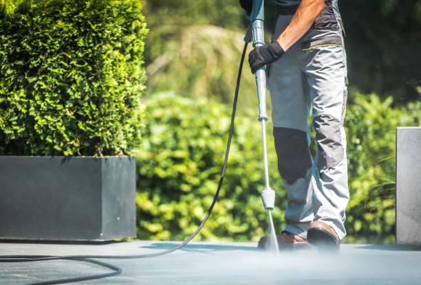 Best Brick and Stone Cleaning in Harveys Lake, PA